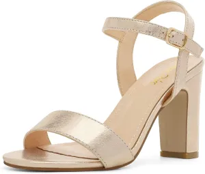DREAM PAIRS Women's Chunky Heels Open Toe Ankle Strap High Block Comfy Dress Heel Sandals Pumps Shoes