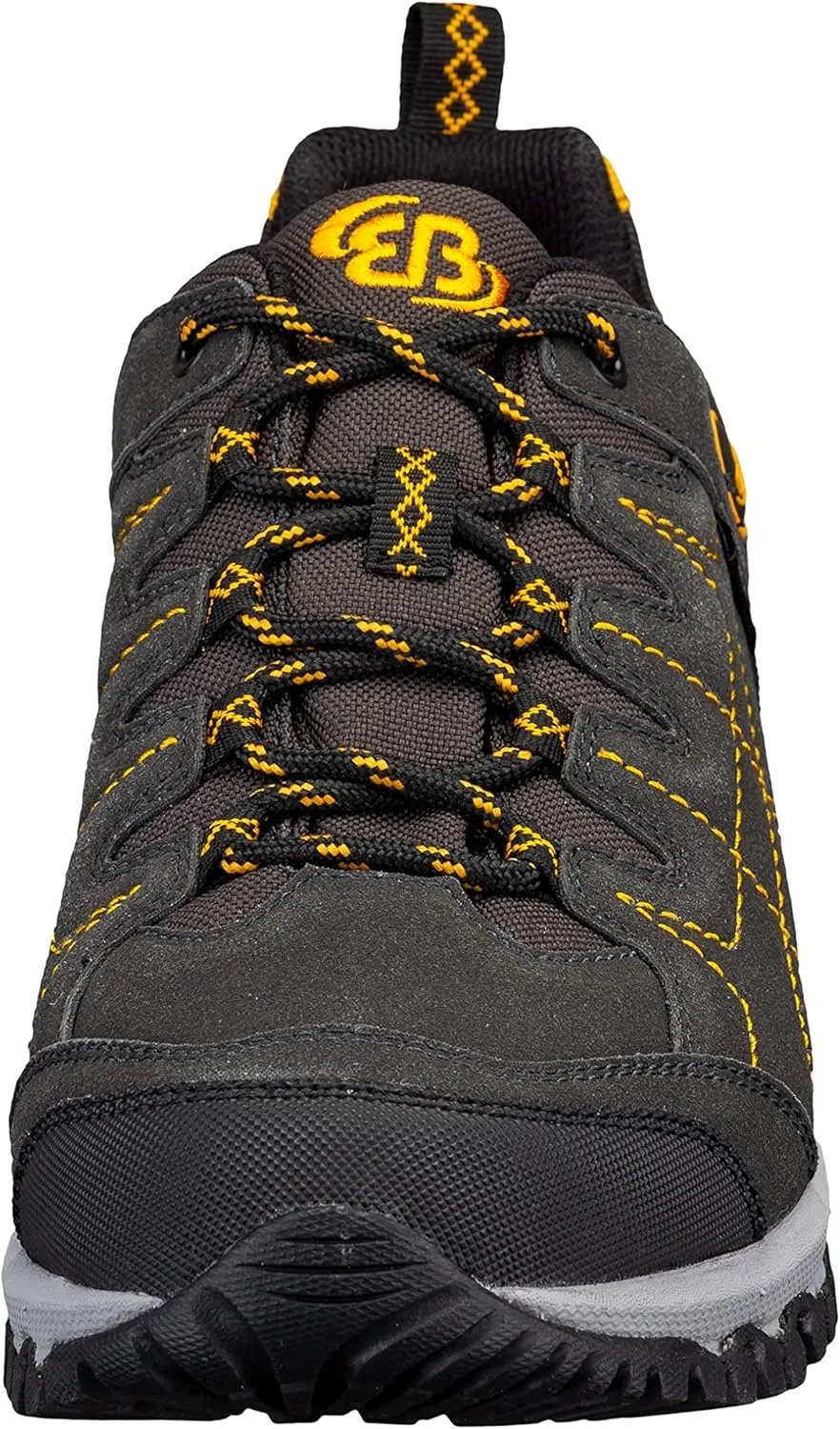 Men's Low Rise Hiking Shoes