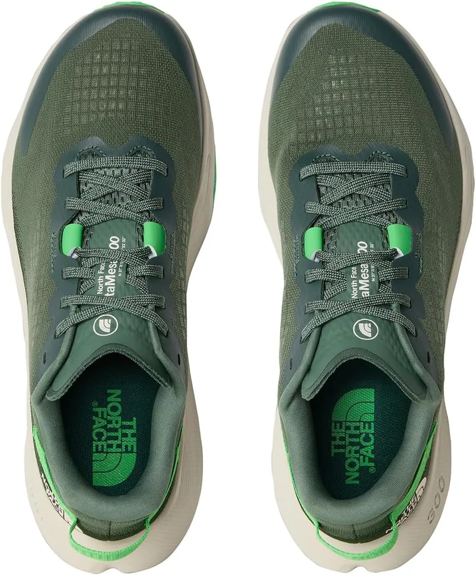 THE NORTH FACE Men's Altamesa 300 Hiking Shoe