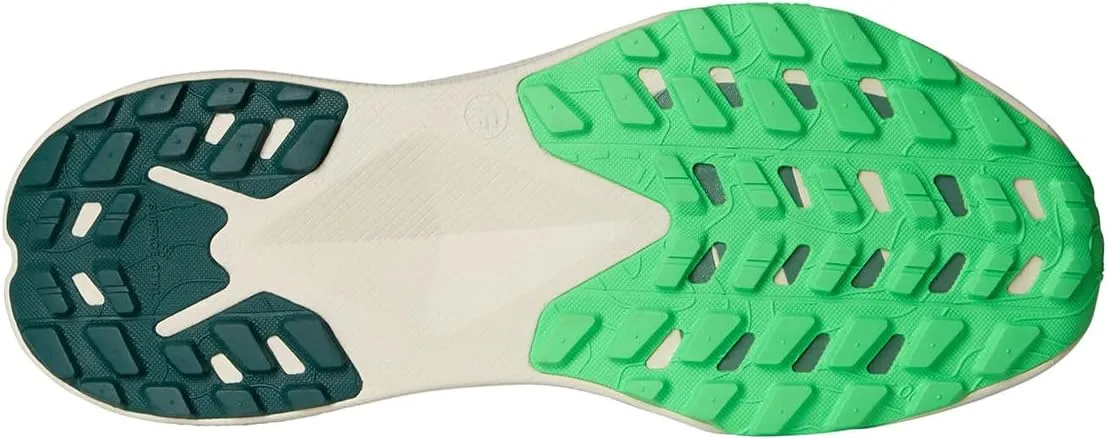 THE NORTH FACE Men's Altamesa 300 Hiking Shoe
