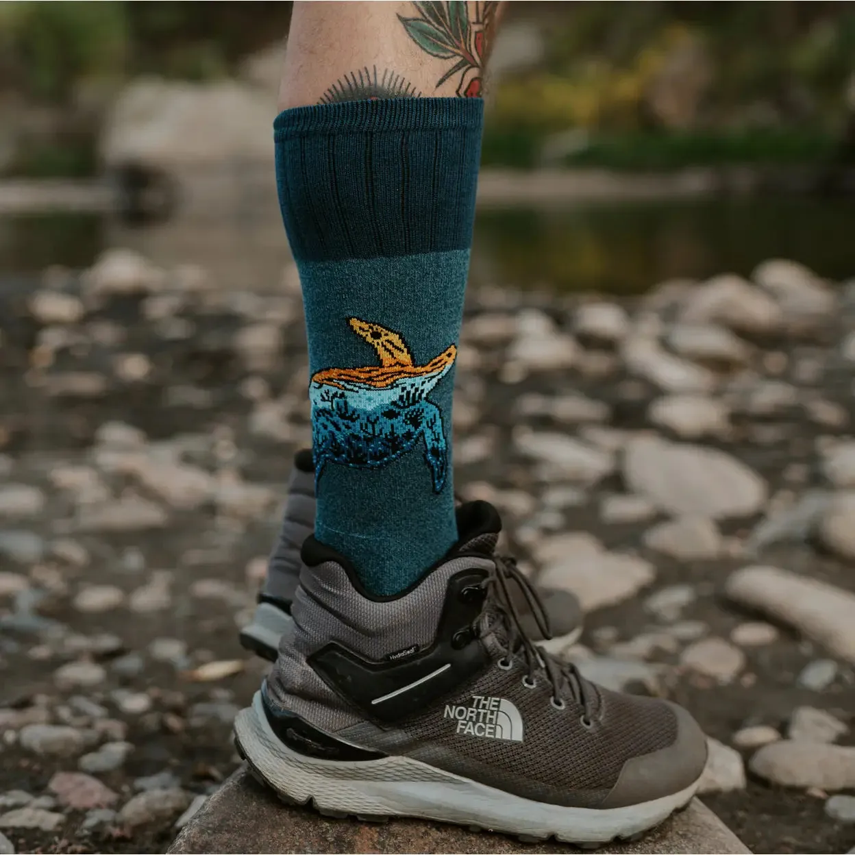 Unisex Socks - Sea Turtle🧦🐢